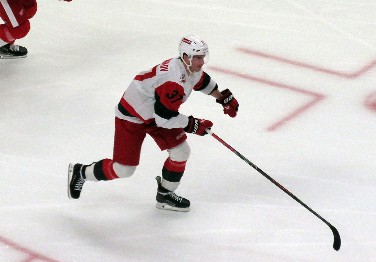 Andrei Svechnikov of the Carolina Hurricanes skates during a game against the Detroit Red Wings.