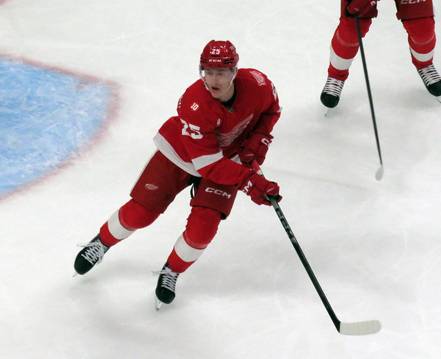 Jacob Bernard-Docker of the Detroit Red Wings skates during a game against the Carolina Hurricanes.