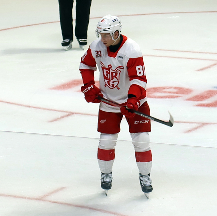 Jakub Rychlovsky of the Grand Rapids Griffins skates during a stop in play in a game against the Manitoba Moose.