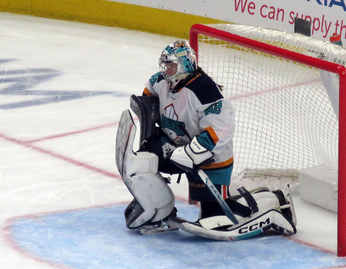 Kayle Osborne of the New York Sirens crouches in her crease during the PWHL Takeover Tour Detroit game against the Montreal Victoire.