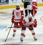 William Lagesson and Austin Watson of the Grand Rapids Griffins get ready for a faceoff during a game against the Manitoba Moose.