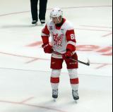Jakub Rychlovsky of the Grand Rapids Griffins skates during a stop in play in a game against the Manitoba Moose.